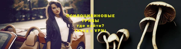 прущая мука Бородино