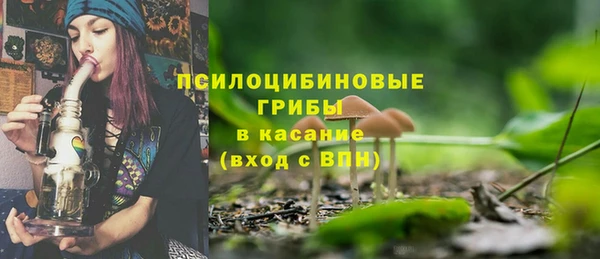 прущая мука Бородино