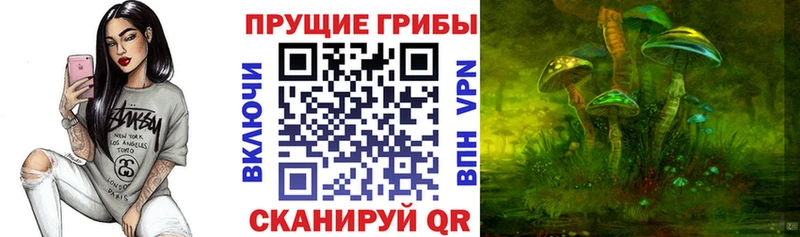 Галлюциногенные грибы ЛСД  Новосиль 